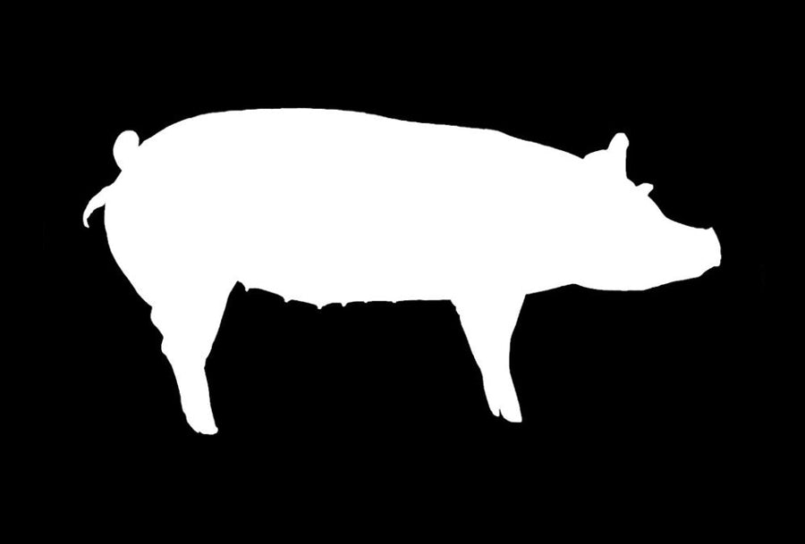 pork seasoning (6.55oz)
